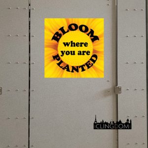 Wall and Stall - Bloom where you are planted